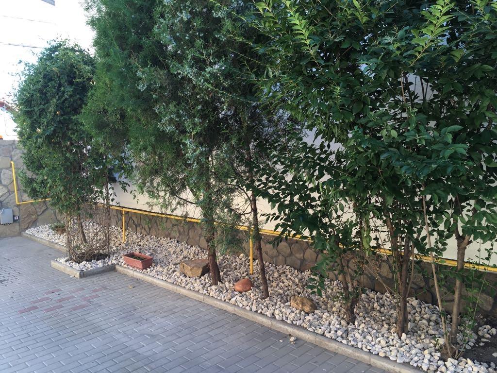 אלבה לוליה Step Inn מראה חיצוני תמונה
